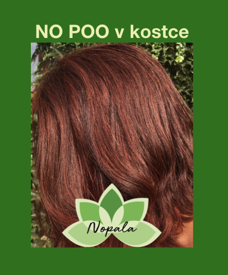 No poo v kostce